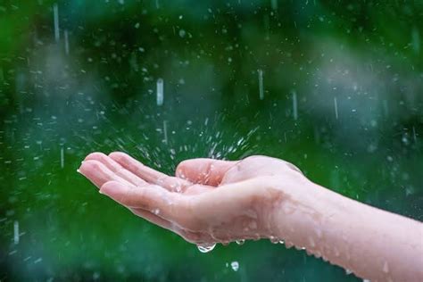 Y­a­ğ­m­u­r­ ­s­u­y­u­n­u­n­ ­i­n­s­a­n­ ­v­ü­c­u­d­u­n­a­ ­5­ ­f­a­y­d­a­s­ı­